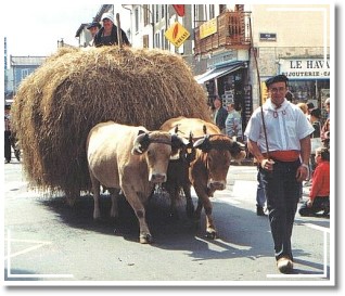 Autrefois le couserans